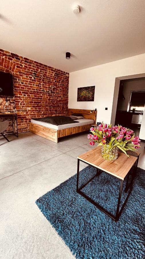 Apartamenty Gliwice Staromiejska 65 Esterno foto